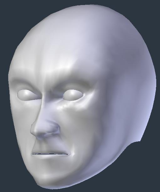 1st head from scratch for the TSG project
