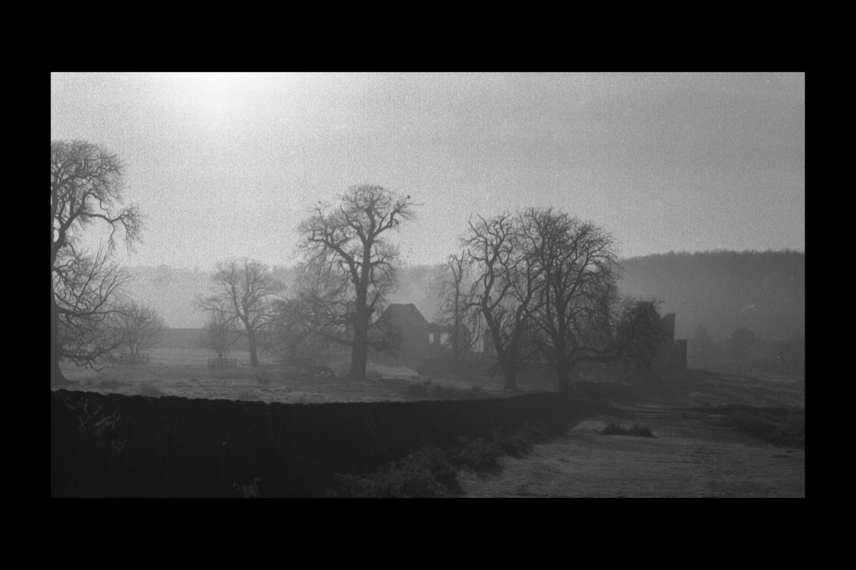 bradgate 04
