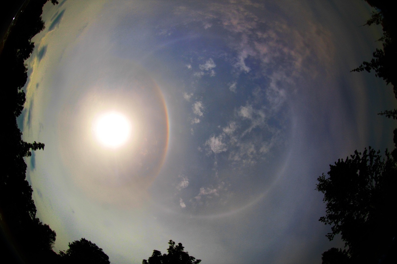 Circles in the Sky 
Credit & Copyright: Jean-Marc Lecleire 

Explanation: Gazing skyward on a sunny day in May, photographer Jean-Marc Lecleire captur