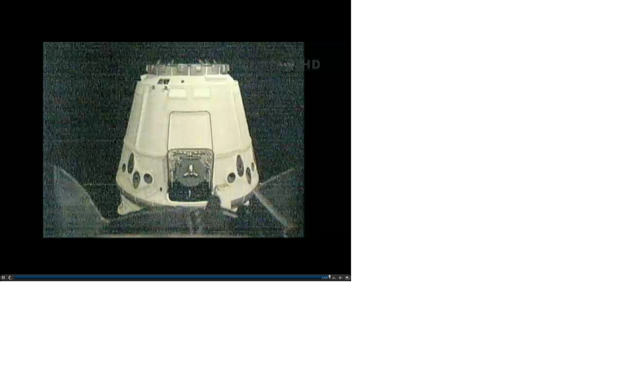 dragon5
