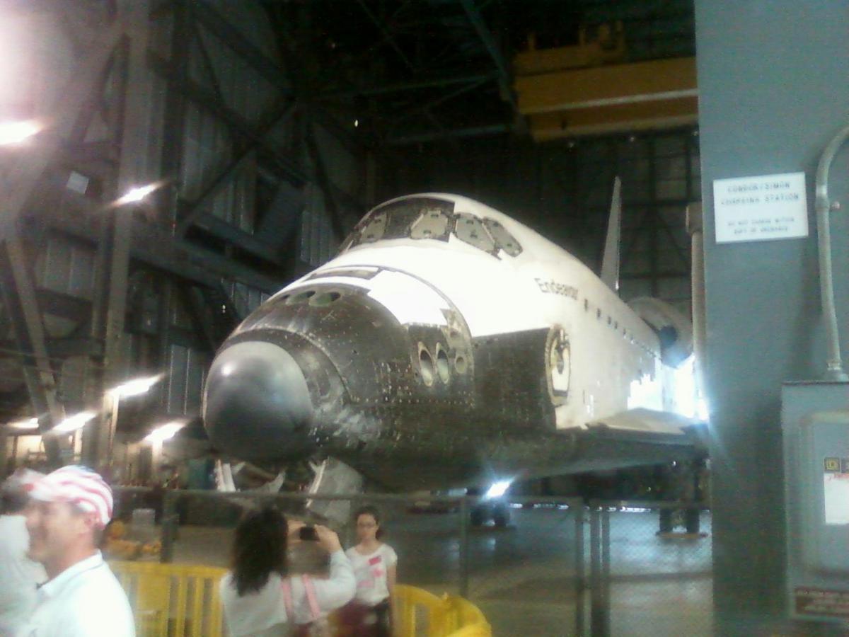 Endeavour in her natural environment.