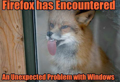 firefox problem with windows