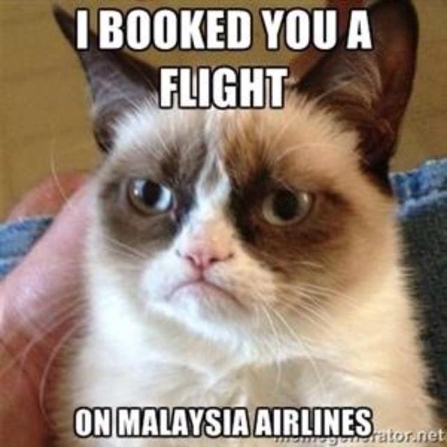 GrumpyCatBookedFlight