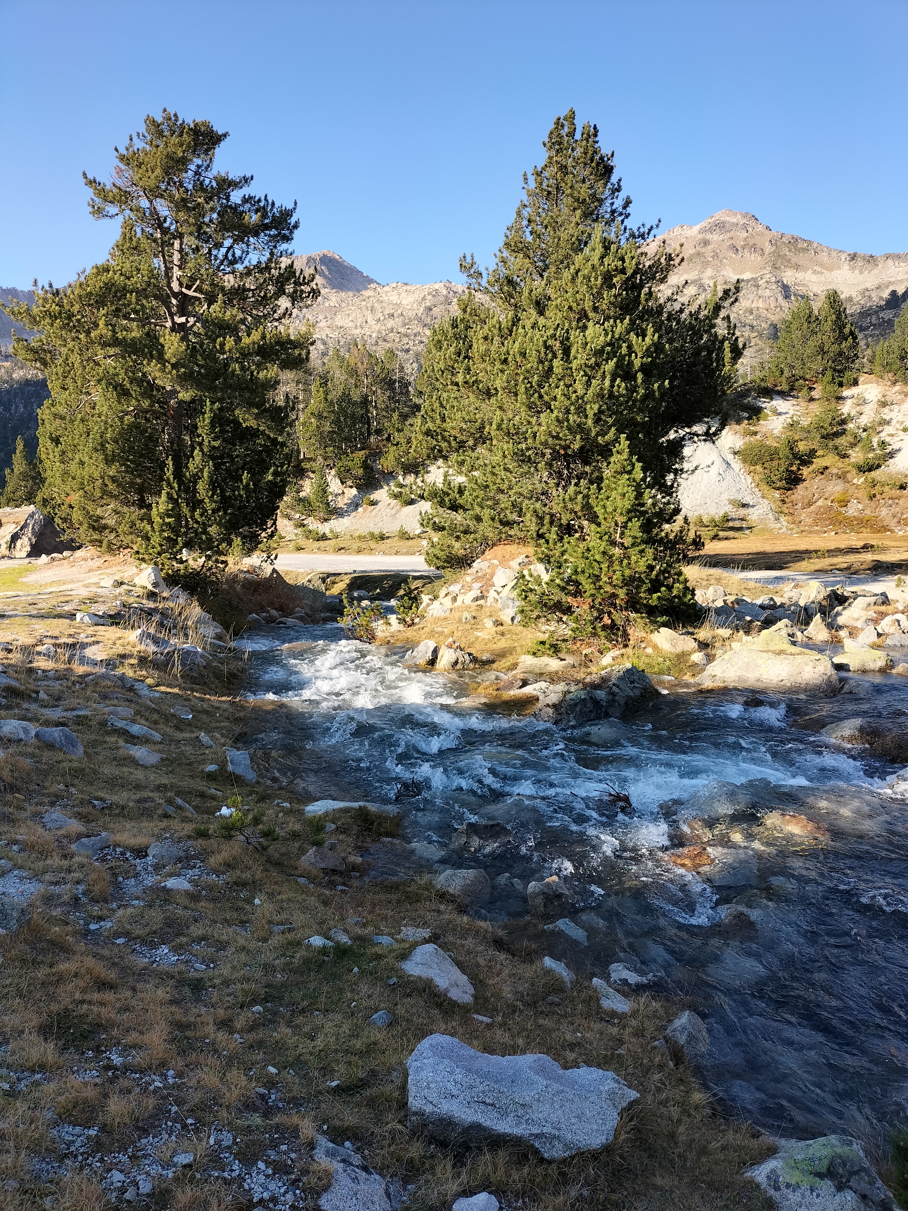 IMG20211020171338.jpg