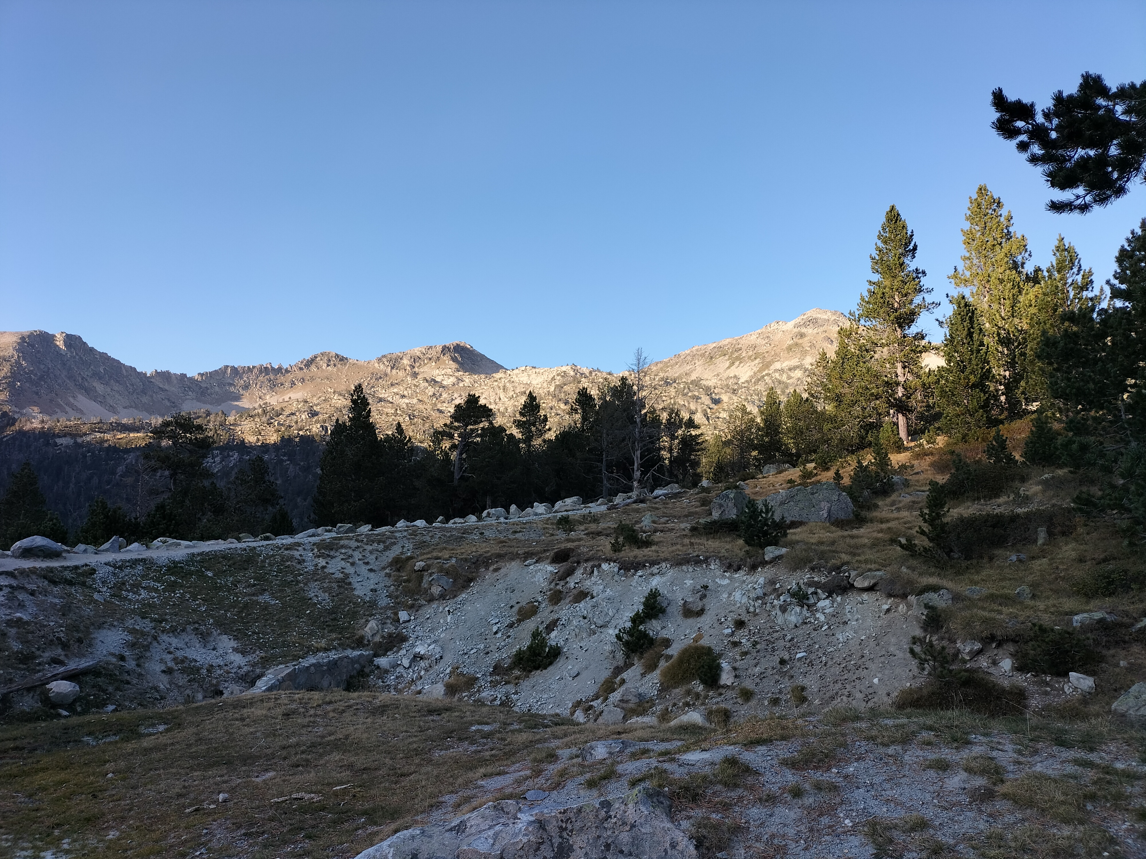 IMG20211020172113.jpg