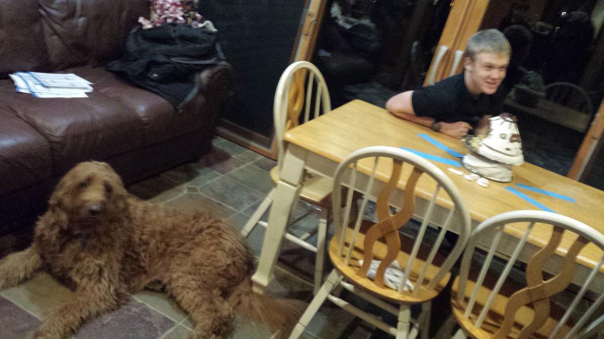 Me and my dog, Chewbacca, who ate the cake.