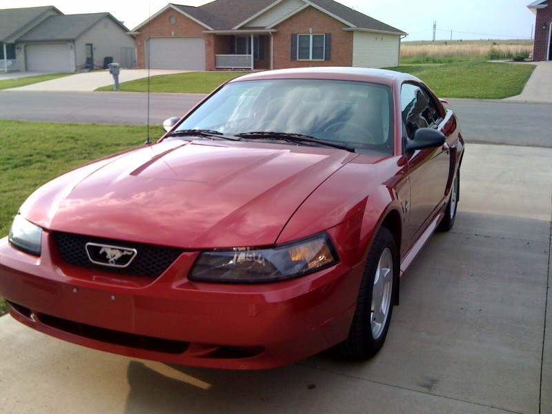 Mustang