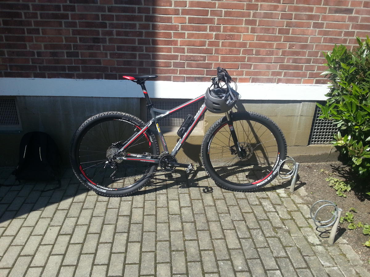 My new MTB ... my first new bike in twenty years. What a helluva ride - it only knows one speed, the only thing you can do is make sure it drives in t