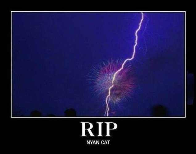 RIPNyanCat
