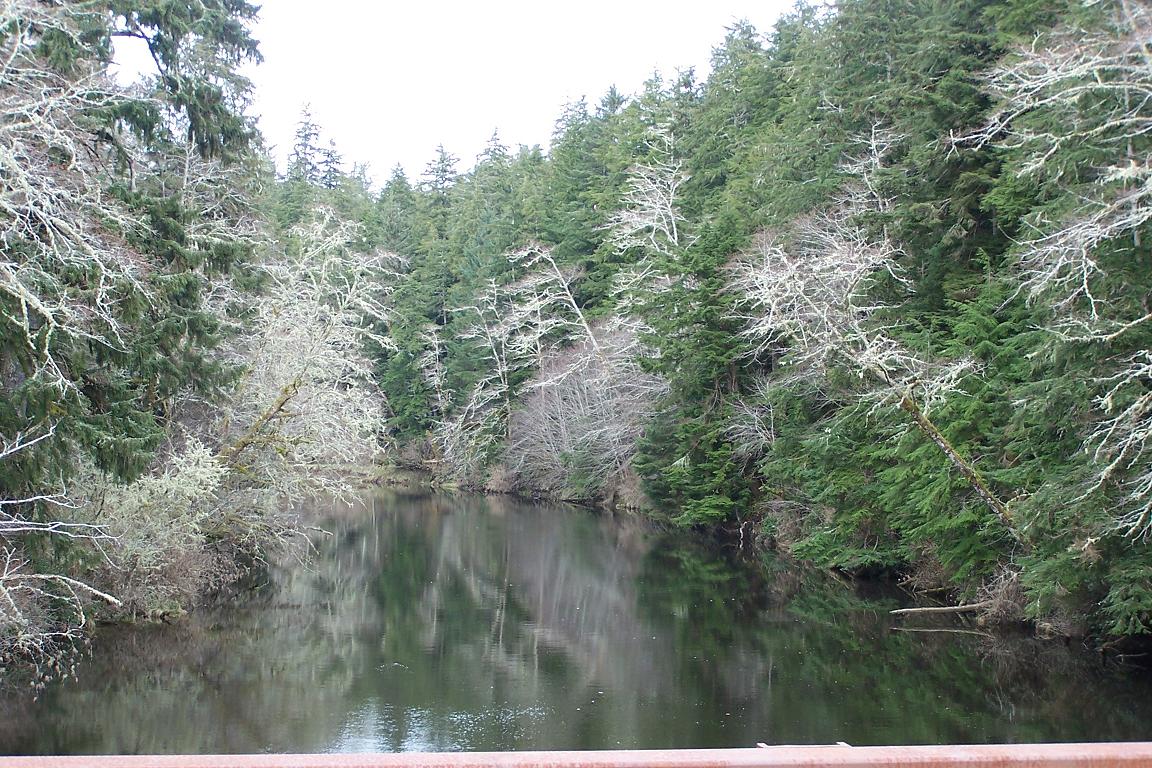 River in fall