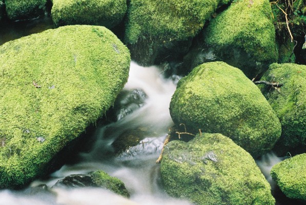 Rocks 04