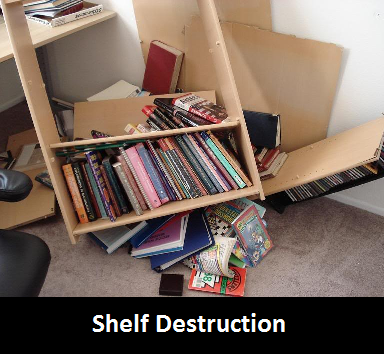 ShelfDestruction