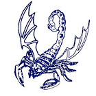 skyrpio