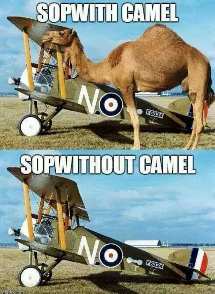 Sopwith Sopwithout