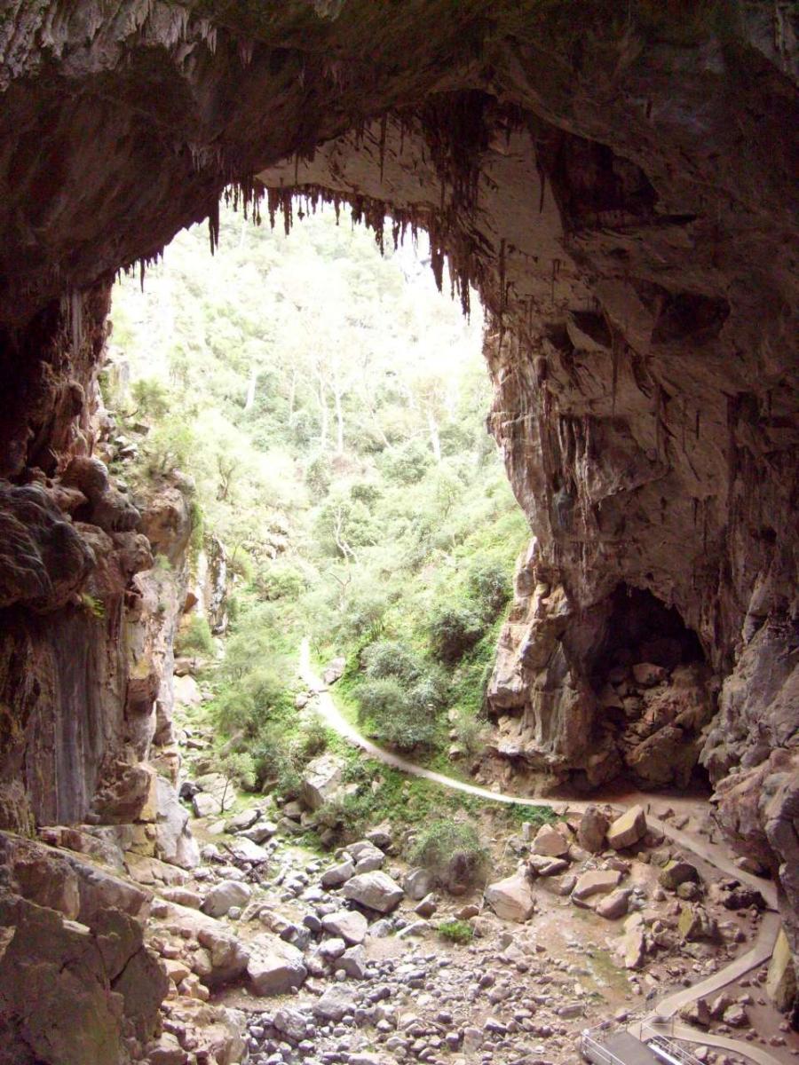 The back entrance of the Nettle Cave
