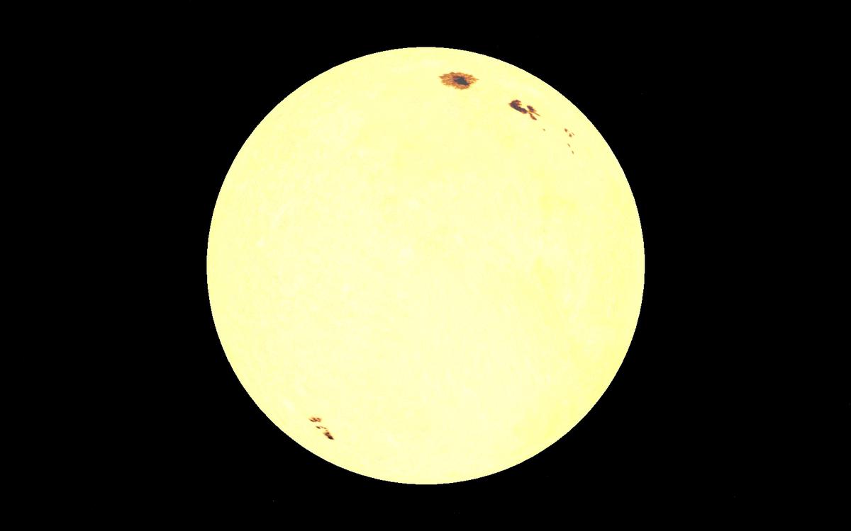 Xexina Omega